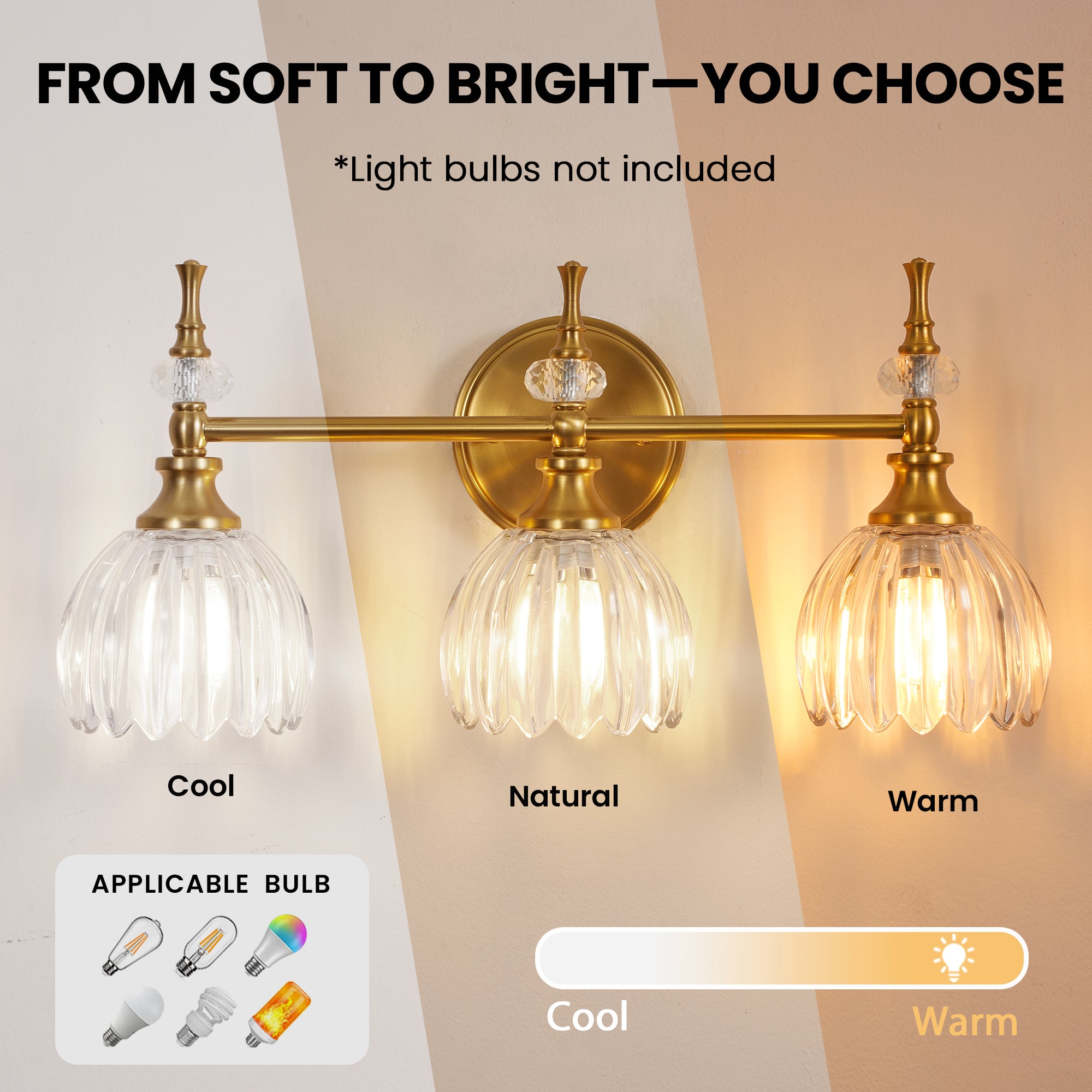 Contemporary Bathroom Vanity Light Fixtures with Tulip Glass Shade Sconces for Bath,Bedroom, Hallway